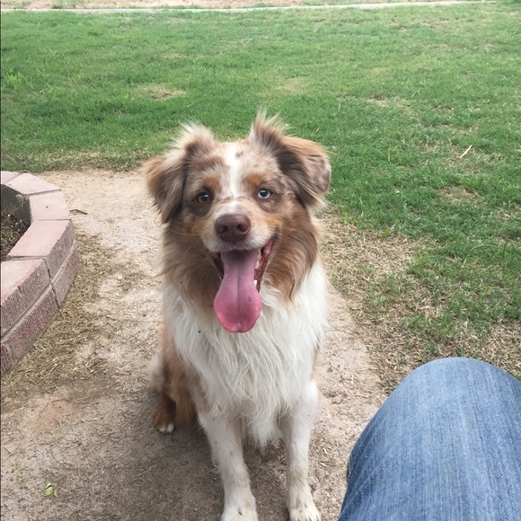 Meet your Posher, Kat - Picture 7 of 8